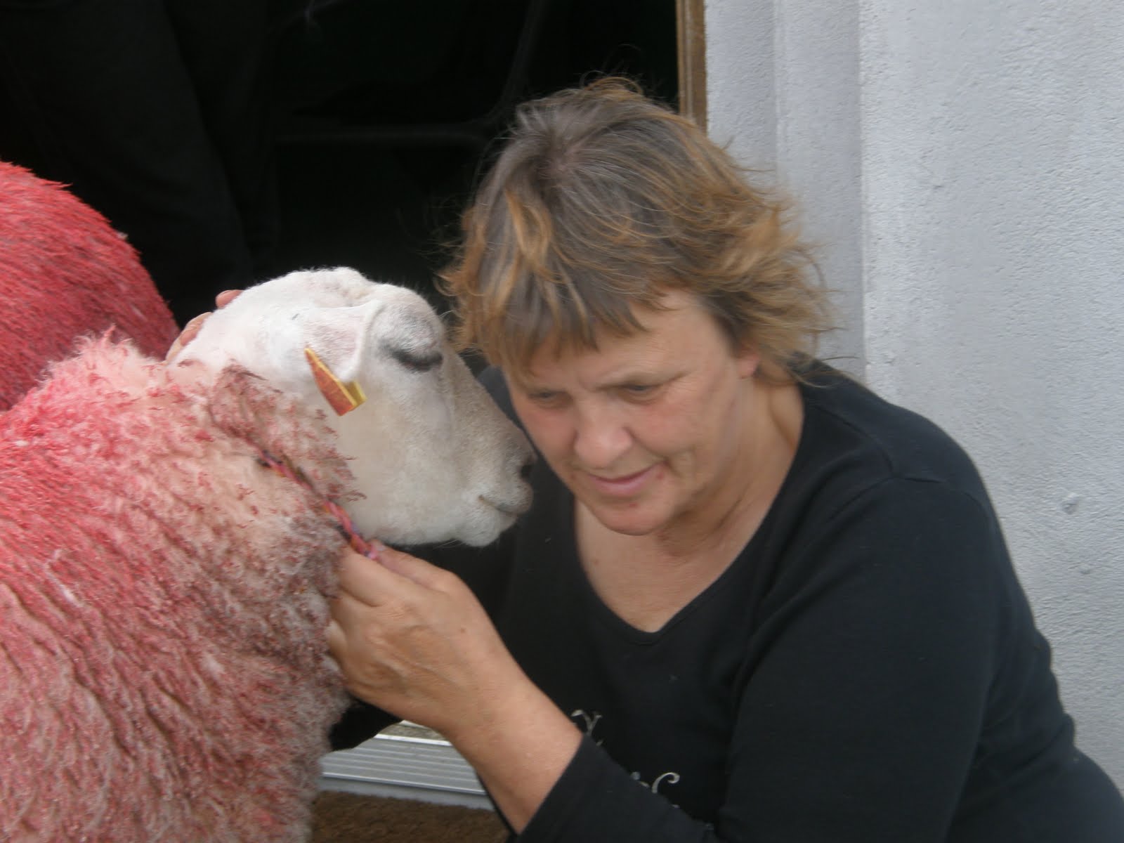 Lisbeth Hermansen